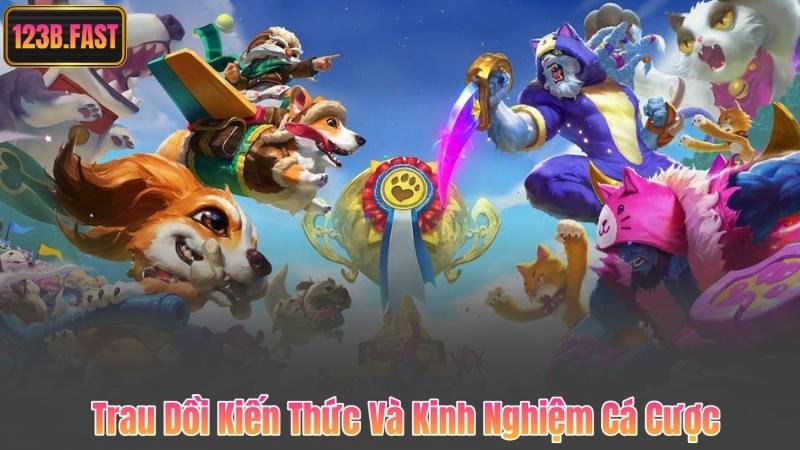 Trau Dồi Kiến Thức Và Kinh Nghiệm Cá Cược